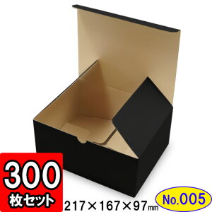  Mtg  _{[ ꃍbN(No.005) 217×167×97mm