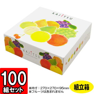 y[J[iɂszpbg 270p 270×270×95mm