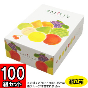 y[J[iɂszpbg ~j 270×180×95mm