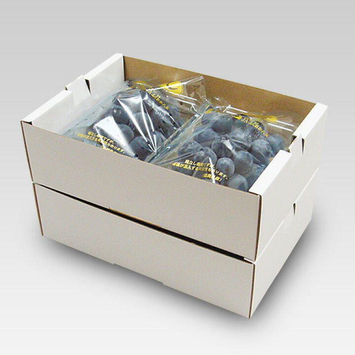 楽天市場】フルーツ 2パック入れ箱 通常版【身のみ】 内寸232×168×74mm 
