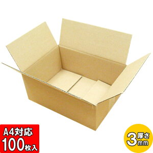 _{[ A4ΉTCY 3mm O305×220×125mm ݂(A)