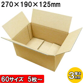 ダンボール 60サイズ B5対応 厚さ3mm 外寸270×190×125mm みかん箱(A式)