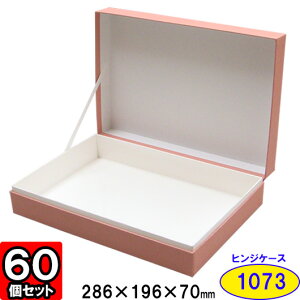 y[J[iɂsz\蔠 ALLESV[Y qWP[X1073 286×196×70mm