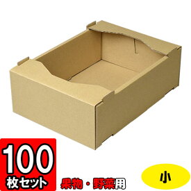 【メーカー直送品につき代引不可】C5サービス 小【L-469】 100枚 【店頭販売 野菜箱 無地の箱 フルーツ用 フルーツギフト用 果物用 ギフトボックス 箱 無地 パッケージ フルーツ箱 果物箱 贈答用 化粧箱 青果 gift box】