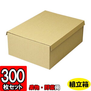 y[J[iɂszT[rXnyL-2091z 250×172×100mm