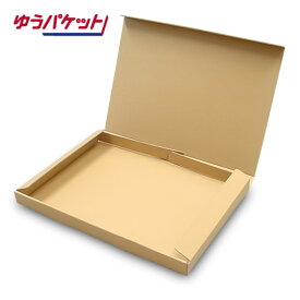 小型宅配箱 【ゆうパケット対応】 内寸: 321×228×25mm