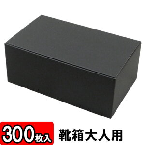 C ꃍbN^Cv 300×180×120mm /Ntg/