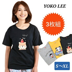 Tシャツ 3枚 まとめ売り 1枚当たり 1000円 ポッキリ 送料無料 以下 福袋 【 送料無料 アウトレット 訳あり 在庫処分 sale 】 メンズ レディース キッズ Tシャツ カットソー カジュアル 下着 プチギフト おもしろ パロディ トップス 洗える