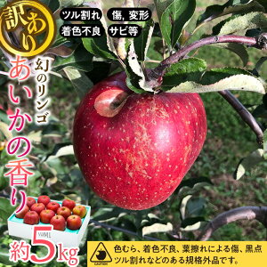 y11{ȍ~zMB̂񂲁y̍z 󂠂   S ь  MB yY Mtg 蕨    ߂炵