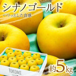 y11{ȍ~zMB̂񂲁yVimS[hz@񂲁@S@ь@VimS[h@S[h@3Z@@MB@yY@Mtg@蕨@