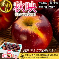 【期間限定！まとめ買い10％OFFクーポン＆ポイント20倍】【10月上旬以降発送】信州のりんご【秋映】≪訳…