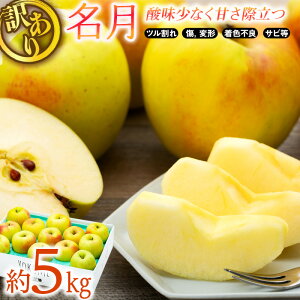 【11月中旬以降発送】信州のりんご【名月】≪訳あり≫ りんご リンゴ 林檎 名月 めいげつ 長野 信州 お土産 ギフト 贈り物 おすすめ