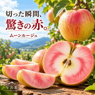 【期間限定！まとめ買い10％OFFクーポン＆ポイント20倍】ムーンルージュ3キロ りんご 赤肉りんご 希少品…