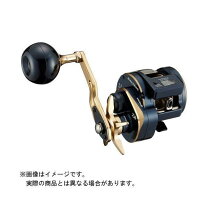 楽天市場】ソルティガic 300の通販
