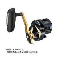 楽天市場】ダイワ ソルティガic 300h-sjの通販