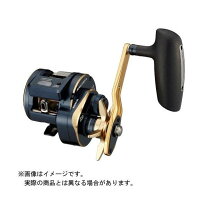 楽天市場】ダイワ ソルティガic 300hlの通販 