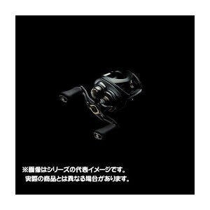 ダイワ スティーズ CT SV TW 700SHL (リール) 価格比較 - 価格.com 