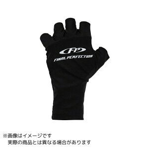 GNZ FP-531 ⊴bO[u ubN t[