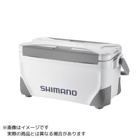 【ご奉仕価格】シマノ スペーザ ライト 250 NS-425Y ＃グレー 【大型商品2】