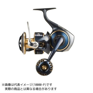 ダイワ ソルティガ 8000-P (リール) 価格比較 - 価格.com 