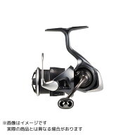 ダイワ 24ルビアス ST LT2000S-P