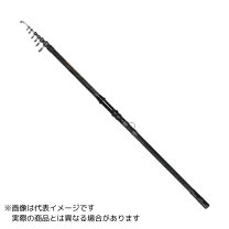 楽天市場】タマン 竿の通販