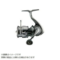 楽天市場】リール ダイワ イグジスト 2000s?hの通販