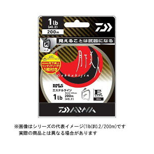 y[֑Ήz _C l Type-E  2.0LB(0.4) 200m