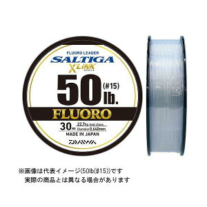 �_�C�� �\���e�B�K �t�������[�_�[X'LINK 40LB 30m (�J���[:�i�`������)