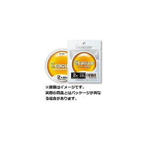 y[֑Ήz Nn V[K[ 60m 1.75 (J[:NA)