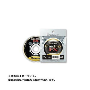 y[֑Ήz Nn V[K[Oh}bNX FX 60m 5 (J[:NA)