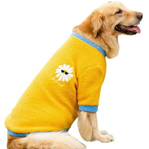 y20%OFFN[|z^@ybg@H~@@p[J[@^@^@tVc@hbOEFA@R[g@ӂӂ@@pW}@S[f@Lm@h@g@t@