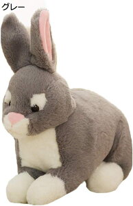 y20%OFFN[|`zʂ ETM  Vv  킢 D ӂӂ   A YQ 􂦂 j v[g