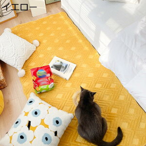 y20%OFFN[|`z唻 􂦂郉O vC}bg xbhTChO IV ې n 唻 RpNg  J[ybg 70*180cm h _炩  G悢 rO[ ƒp 