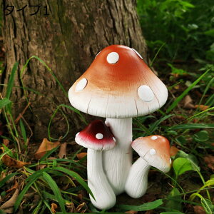 y20%OFFN[|zK[fI[ig ̂ IuWF  d ~j`A Jg[G ANZT[ 둕 Ő  G K[fIuWF ̂IuWF IuWF S