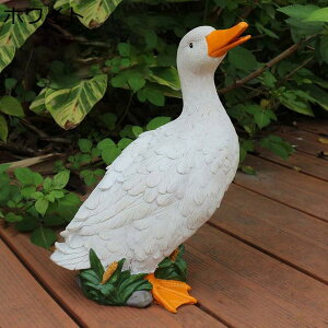 y20%OFFN[|zK[fI[ig Aq 킢 u  I[ig zCg K[f _bN  Ђ K[fIuWF K[fjO  킢Aq  K[