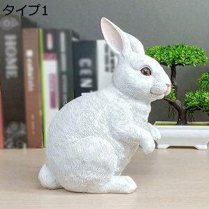 y20%OFFN[|z̒u ETM Aj}IuWF  o AEghA fR[V e K[f I[ig Aj}IuWF G ̃IuWF K[f F IuWF K