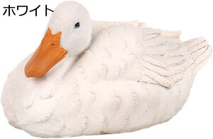 y20%OFFN[|zK[fI[ig Aq 킢 u  I[ig K[f _bN  Ђ K[fIuWF K[fjO  킢Aq  K[fjO 