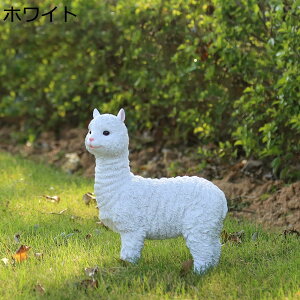 ̏艮O ̒Ђ 킢Ɠ̃~j K[fI[ig 24*10*30cm qcW u rObY K[fIuWF Ђ r  A[g O̒