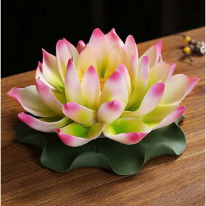 y20%OFFN[|zF  @̉  ^Cv2 T d CeA  g nhCh  J^ u  p ґz K    zCg IuWF F 