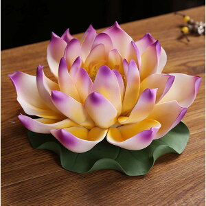 y20%OFFN[|zF  @̉  ^Cv2 T d CeA  g nhCh  J^ u  p ґz K    zCg IuWF F 