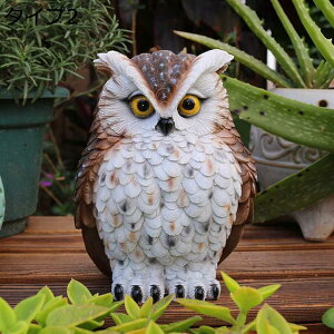 y20%OFFN[|z傫 tNE {  IVȒu tNE K[fjOG 낪ɂ₩ u AEghA fR[V CeAG 뒤̑ 