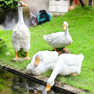 y20%OFFN[|zK[fjO I[ig G CeA IuWF  u    Ђ _bN̒u Aq kG ObY G AqG _ ɒu ^Cv 