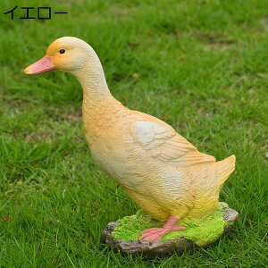 y15%OFFN[|`zAj}G Ђ u  W O Xܑ AEghA JXj JCCu Gݒu bNX 蕨 K[fI[ig IuWF zCg Aq 