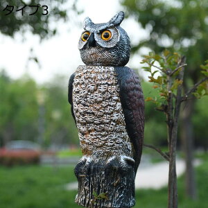 y20%OFFN[|zӂ낤 u tNE K[fI[ig  K[fIuWF K[fjO I[ig CeA i  N v[g   K[fG K[f