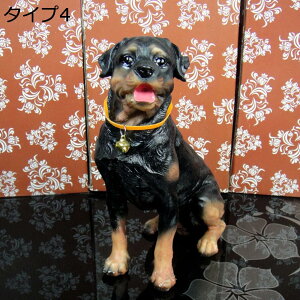 y20%OFFN[|z u IuWF JCC F ގ I[ig I  rO  X fR[V K[fIuWF IuWF CeA }XRbg  ^