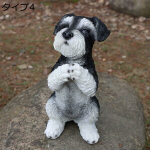 y20%OFFN[|zCk̒u I[ig  ^Cv F   IuWF Aj}IuWF ɒu Ő  K[f K[fjO u N G  i` 蕨 A