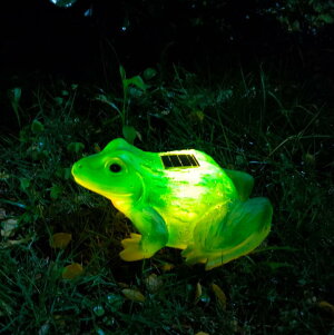 y20%OFFN[|z u 킢 JGG \[[Cg \[[u L  F K[fCg \[[ ^Cv h O  uCg Aj}ObY I[ig I