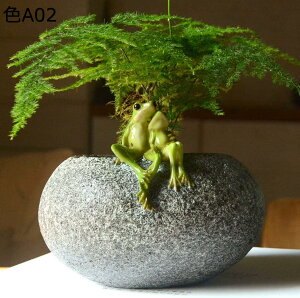 y20%OFFN[|zAq R|[ JG ObY u G  JG R|[V[Y FA Ђ Aq sR FreeSize R|^E JG u  CeA rO  