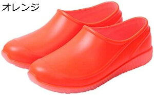 y20%OFFN[|`zCu[c Y fB[X ꂢ񂵂[ JC y h ~J΍ 䕗 V[g hV[Y h ʋ ʊw ~[C ₷ | 傫TCY CV